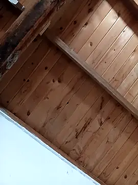 Snapshot of luna_pinky chatting on March 1, 2026, 4:42 pm luna pinky online show from March 1, 2026, 4:42 pm