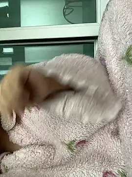 wjddjwjd online show from February 6, 2026, 11:52 pm