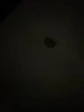 Diamanda12 online show from March 1, 2026, 4:36 am