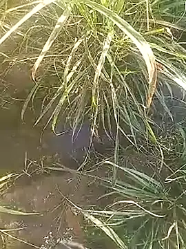 Cute Boy 4 online show from February 27, 2026, 2:44 am