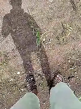 Snapshot of Cute_Boy_4 chatting on June 5, 2026, 4:41 am Cute Boy 4 online show from June 5, 2026, 4:41 am