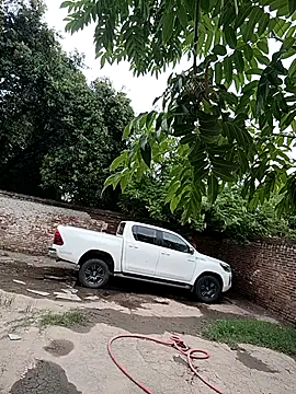 leo85rf online show from February 5, 2026, 7:18 pm