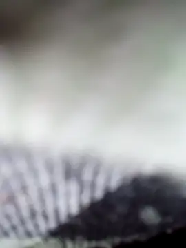 Sexy-Sony770 online show from February 7, 2026, 9:07 pm