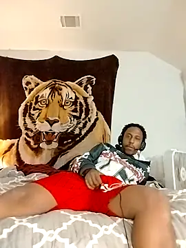 allenray2618 online show from February 3, 2026, 5:38 am