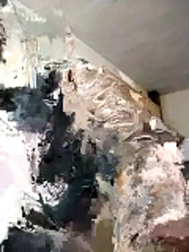 BoxedDitty online show from February 21, 2026, 3:18 am