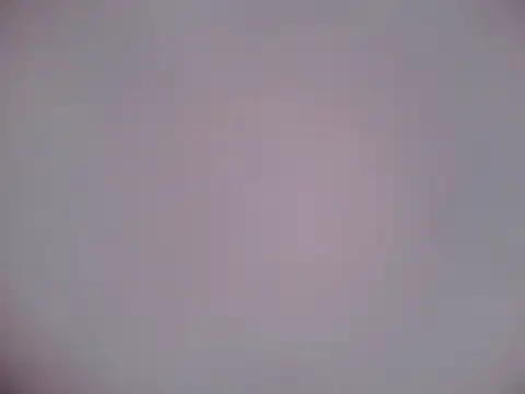 Snapshot of Luanatrav1 chatting on February 21, 2026, 7:31 am Luanatrav1 online show from February 21, 2026, 7:31 am