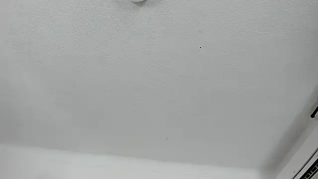 Nico Hillx online show from February 13, 2026, 11:01 pm