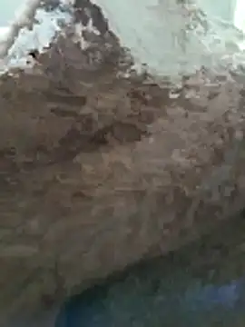 Ben10xblack online show from February 3, 2026, 2:53 am