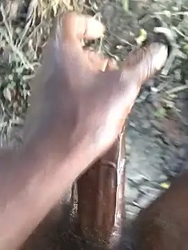 kalai 32 online show from February 13, 2026, 2:51 am