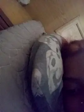 Snapshot of loveofpetitegirls34 chatting on February 21, 2026, 8:26 am loveofpetitegirls34 online show from February 21, 2026, 8:26 am