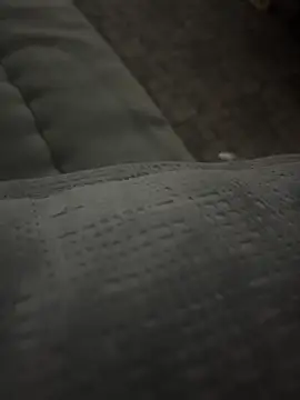 Snapshot of X7med chatting on February 27, 2026, 8:42 pm X7med online show from February 27, 2026, 8:42 pm