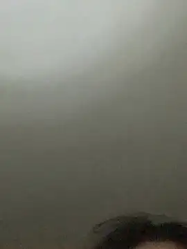 Rin-yiyi online show from February 17, 2026, 4:46 pm