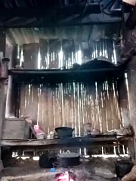 Nhoccon90 online show from February 19, 2026, 4:30 am