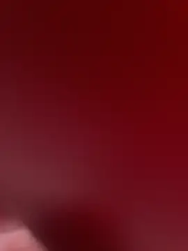 stallone italiano 62 online show from February 9, 2026, 11:14 am