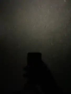 stallone italiano 62 online show from February 11, 2026, 8:47 pm