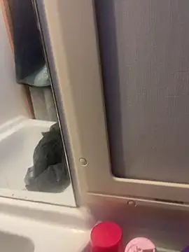 stallone italiano 62 online show from February 26, 2026, 6:56 am