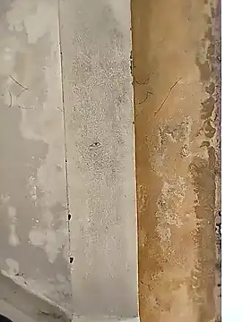 loyalboy 0052 online show from February 8, 2026, 9:13 am