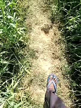 Snapshot of aryanvfit chatting on February 14, 2026, 8:11 am aryanvfit online show from February 14, 2026, 8:11 am