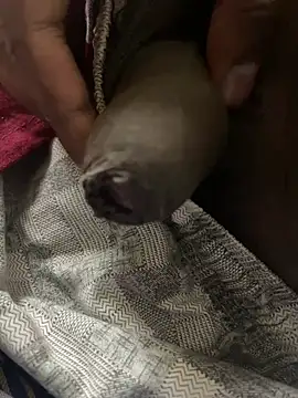 Magic Spell Tamil online show from February 20, 2026, 3:34 pm