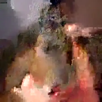 tubellaflor online show from March 1, 2026, 10:23 pm