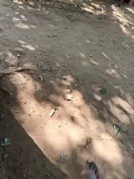 Locky kamani online show from February 16, 2026, 8:21 am