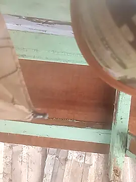 euchapo99 online show from February 19, 2026, 1:51 pm