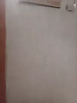 Snapshot of negopreto_ chatting on July 19, 2026, 2:48 am negopreto online show from July 19, 2026, 2:48 am