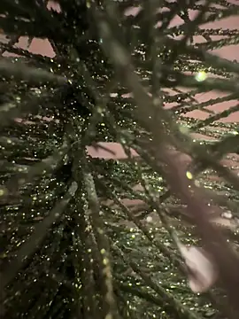 sexysou online show from April 15, 2026, 11:50 am