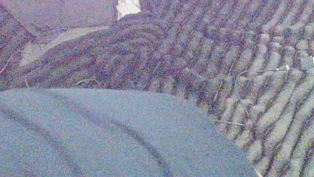 elong007 online show from April 1, 2026, 3:53 pm