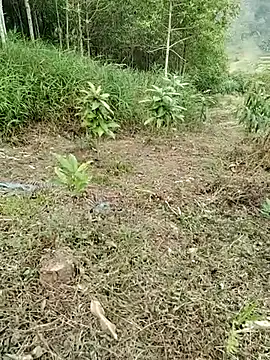 01 ANNA 01 online show from March 27, 2026, 9:32 am