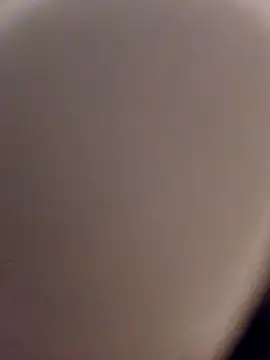 Snapshot of skynct2007 chatting on February 24, 2026, 5:38 am skynct2007 online show from February 24, 2026, 5:38 am