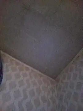 Snapshot of DiamondDaisy chatting on May 5, 2026, 7:16 am DiamondDaisy online show from May 5, 2026, 7:16 am
