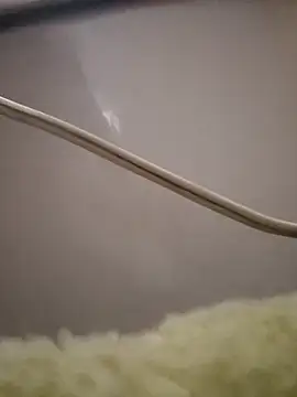 parejaxxxarg online show from February 24, 2026, 9:57 pm