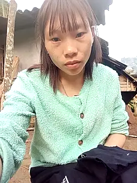 pic8800 online show from March 3, 2026, 1:12 am