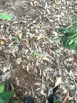 Snapshot of bibedro chatting on February 28, 2026, 9:16 pm bibedro online show from February 28, 2026, 9:16 pm