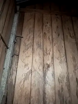 Mizu-hotshow online show from March 29, 2026, 10:32 pm