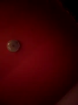 Snapshot of alexandruElena chatting on February 28, 2026, 6:20 pm alexandruElena online show from February 28, 2026, 6:20 pm