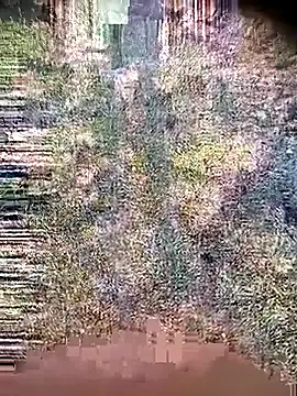 Ambala1 online show from April 21, 2026, 1:42 am