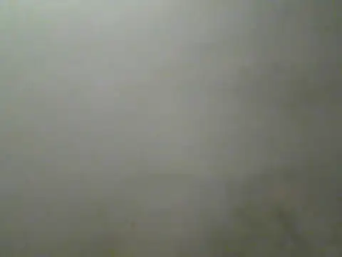 Foxboy65 online show from July 27, 2026, 5:31 pm