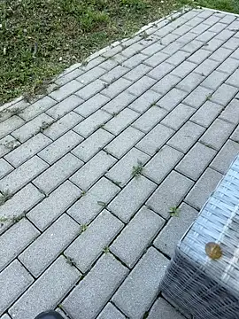 teencouple1313 online show from April 8, 2026, 6:35 am