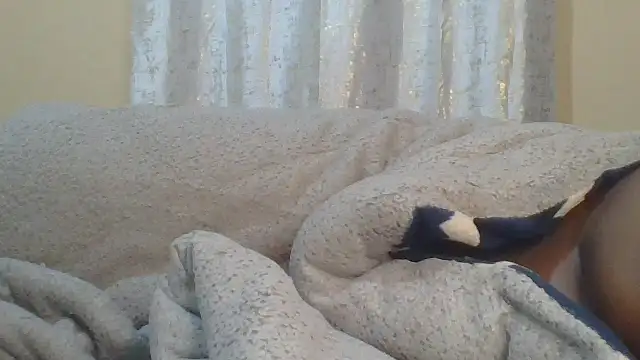 Snapshot of ndivhuwomuleya chatting on July 24, 2026, 3:37 am ndivhuwomuleya online show from July 24, 2026, 3:37 am