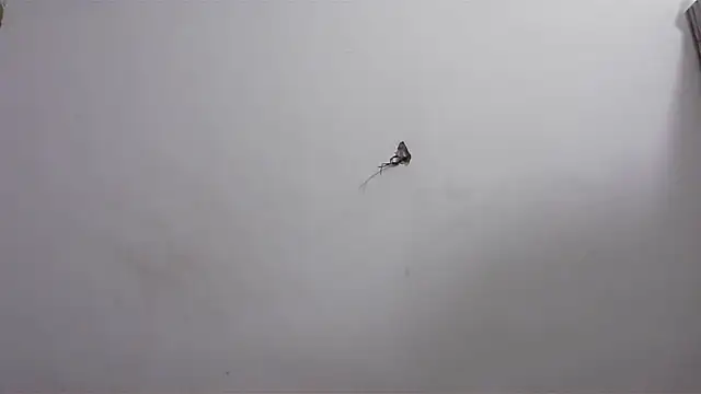 hard to do   online show from April 20, 2026, 6:16 am