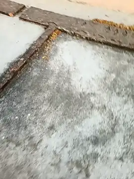 Desii rockstarr online show from March 11, 2026, 1:11 am