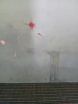 School teacher12 online show from March 28, 2026, 6:35 am