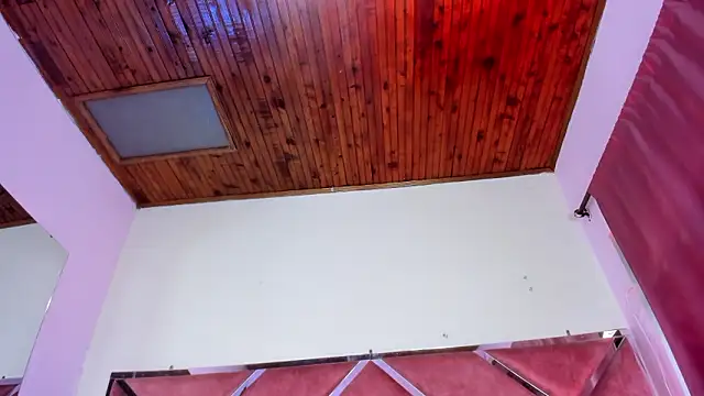 Megan Dangelo online show from March 15, 2026, 12:33 pm