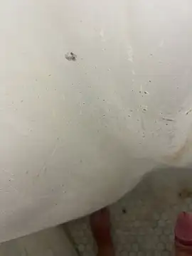 Jacobhj online show from April 20, 2026, 7:48 pm