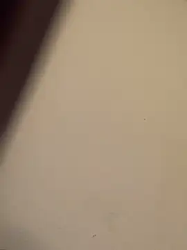 Snapshot of buivali00 chatting on March 15, 2026, 11:38 am buivali00 online show from March 15, 2026, 11:38 am