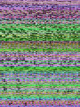 Snapshot of Conny_777 chatting on August 9, 2026, 4:50 am Conny 777 online show from August 9, 2026, 4:50 am