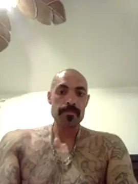 wesstfine online show from May 19, 2026, 4:41 am