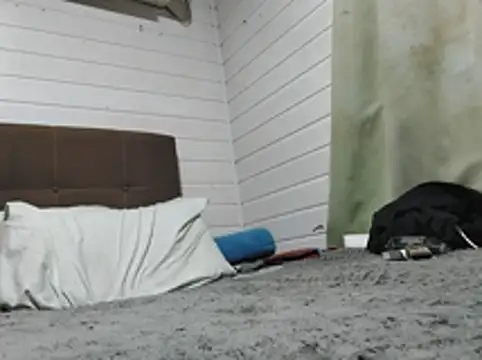 Snapshot of VladTepeslll chatting on April 14, 2026, 2:39 am VladTepeslll online show from April 14, 2026, 2:39 am